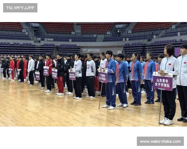 西宁连续五年承办全国高水平手球赛事，推动体育与经济协同发展